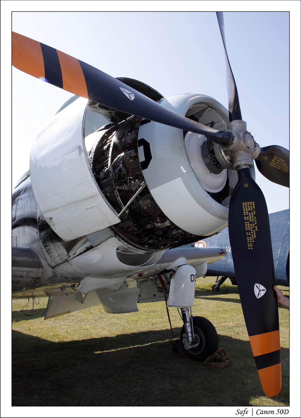 2010   05   Ferte Alais   037